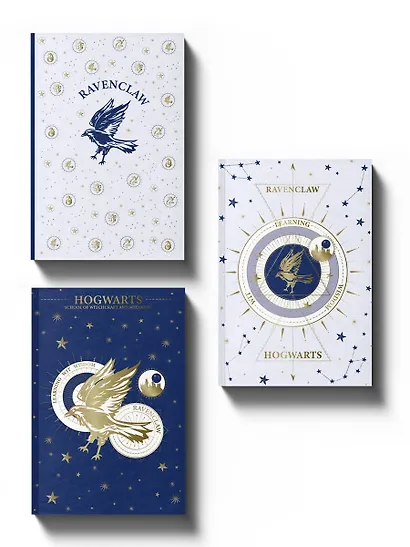 Блокнот А5 3шт "Когтевран. Для мудрых и независимых" - фото 3