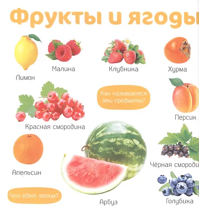 Мои первые фотокниги. Изучаем мир - фото 4