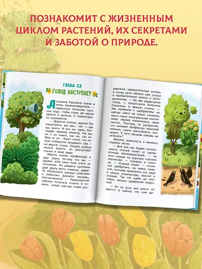 Тайны покинутого сада - фото 4