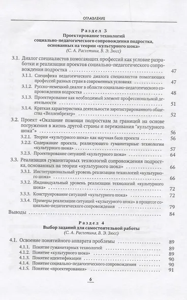 «Культурный шок» и социально‑педагогическое сопровождение подростков за границей. Теория и практика. Монография - фото 3