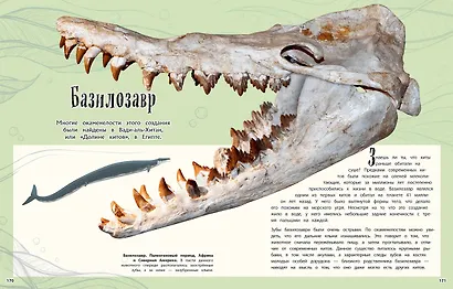 Динозавры и другие доисторические животные. Энциклопедия - фото 10
