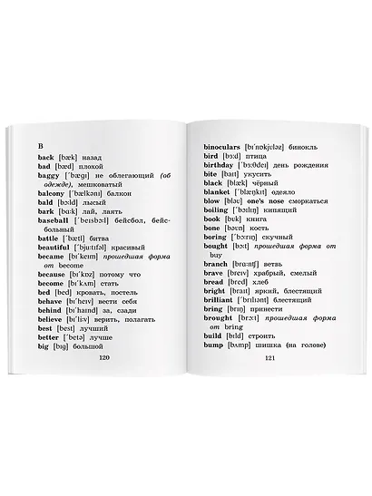 Дневник Ника и Пэт/Nick and Pats Diary. Домашнее чтение с заданиями по ФГОС. Английский клуб - фото 7