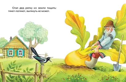 Репка - фото 5