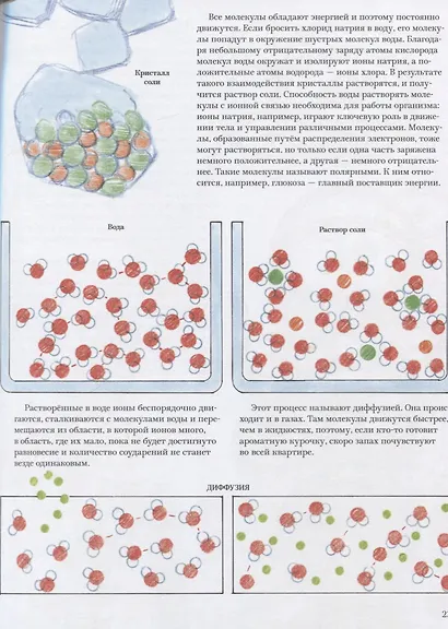 Как мы устроены - фото 5