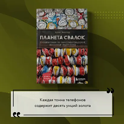 Планета свалок. Путешествия по многомиллиардной мусорной индустрии - фото 12