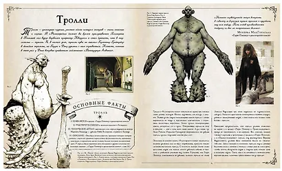 Гарри Поттер. Фантастические существа - фото 8