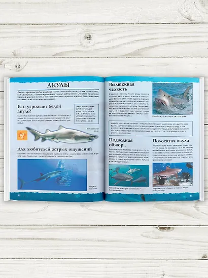 Подводный мир - фото 4