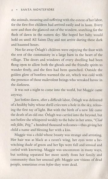 The Secret of the Irish Castle - фото 2