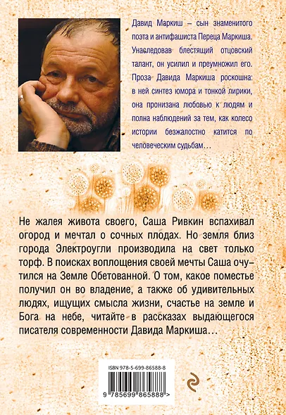 Луковый мёд - фото 2