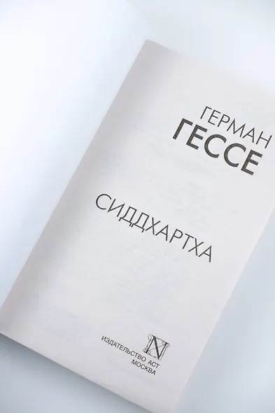 Сиддхартха - фото 7