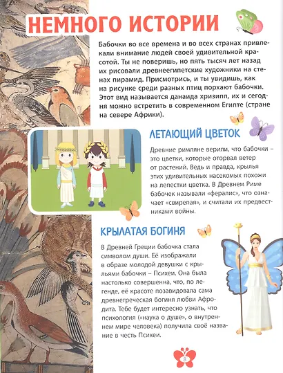 Самые красивые бабочки. Детская энциклопедия - фото 4
