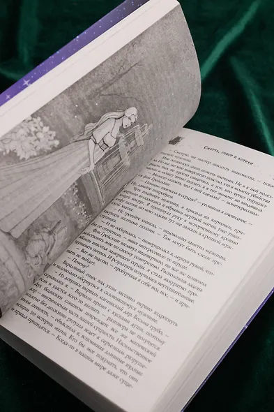 Смерть, отбор и котики - фото 8