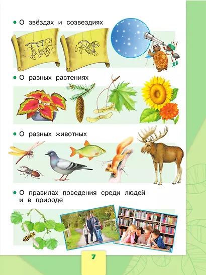 Окружающий мир. 1 класс. Учебник. В 2-х частях. Часть 1 - фото 6