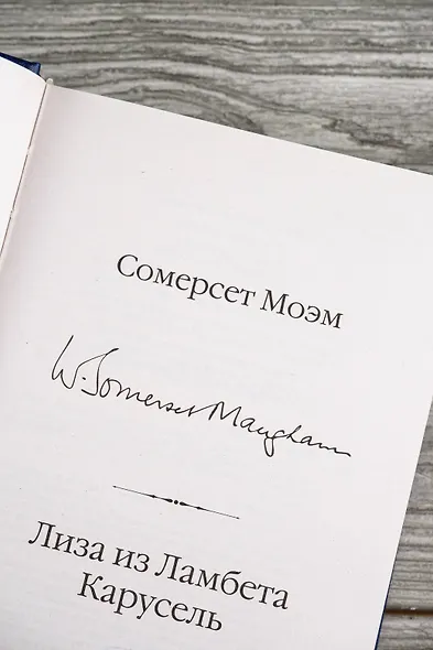 Лиза из Ламбета. Карусель - фото 10