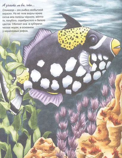 Аквариумные рыбки - фото 3