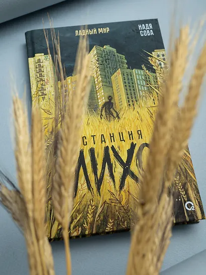 Станция Лихо - фото 4