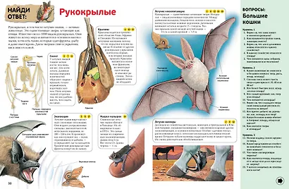 Интерактивная энциклопедия для школьников - фото 9