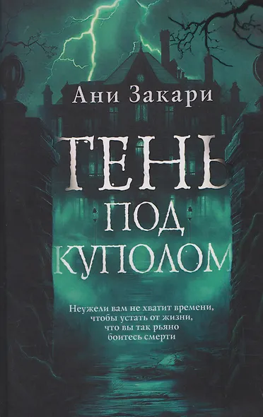 Тень под куполом - фото 1
