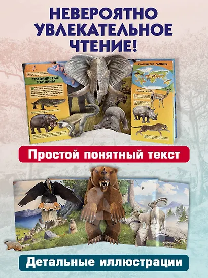 Животные (3D-энциклопедия с большими объемными pop-up фигурами, подвижными элементами и раскладывающимися панорамами. Подарочное издание) - фото 6