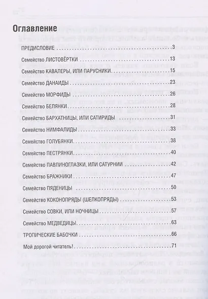 Удивительный мир бабочек - фото 7