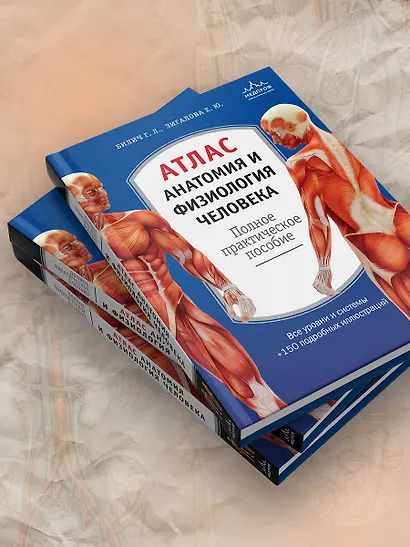 Атлас. Анатомия и физиология человека: полное практическое пособие. 2-е издание, дополненное - фото 8