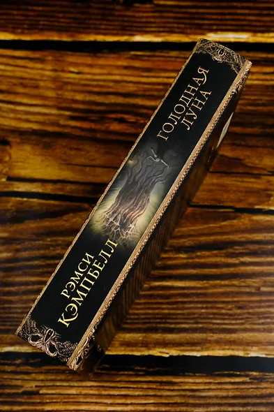 Голодная луна - фото 7