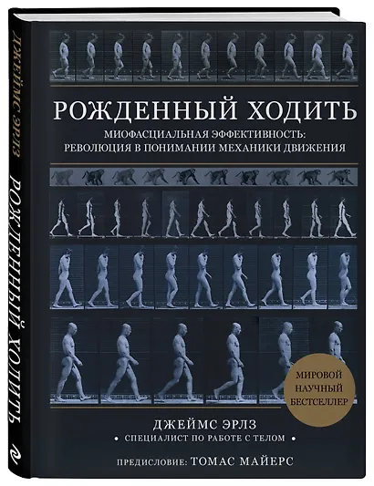 Рожденный ходить. Миофасциальная эффективность: революция в понимании механики движения - фото 3