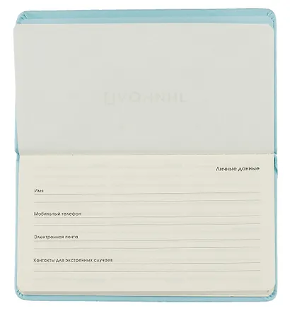 Планинг недат. 64л "Joy Book" аквамарин, карманный, иск.кожа 7Б, скругл.углы, тонир.блок, резинка, офсет, ляссе - фото 3