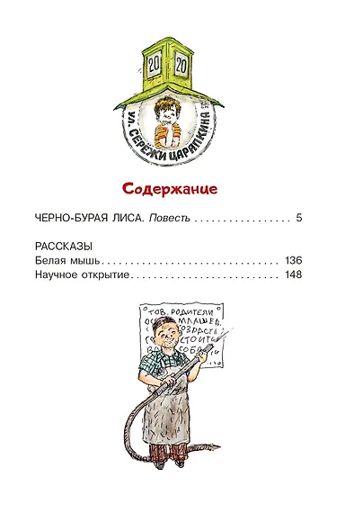 Ошибки Серёжи Царапкина. Повесть и рассказы - фото 12