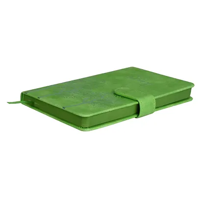 Ежедневник недат. А6+ 120л 110x190 "Тиволи" зеленый, кожзам, тв.переплет, тисн.фольгой, магнит.клапан, офсет, загругл.углы, справ.мат-лшы, ляссе, инд.уп - фото 6