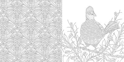 Первозданная красота. Книга для творчества и вдохновения - фото 4