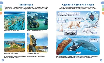 Море и его обитатели - фото 15