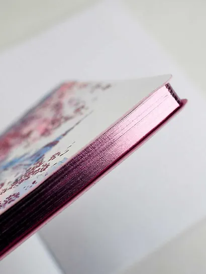 Ежедневник учителя А5 120л "ВЕСЕННИЙ ГОРОД" кожзам, ляссе - фото 5