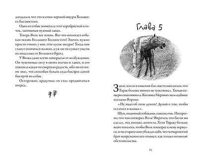 Хроники темных времен. Книга 4. Изгнанник - фото 5