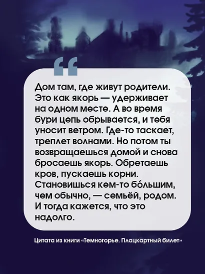 Темногорье. Плацкартный билет - фото 6