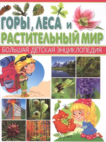 Горы, леса и растительный мир - фото 1