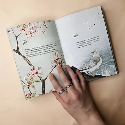 Шепот Вселенной. 101 послание к Тебе, несущее Свет и Тепло - фото 10