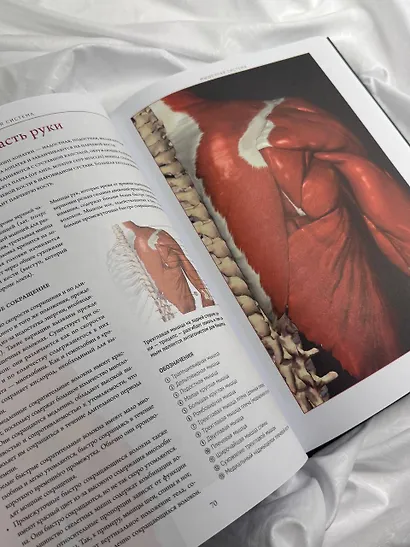 Анатографика - фото 5