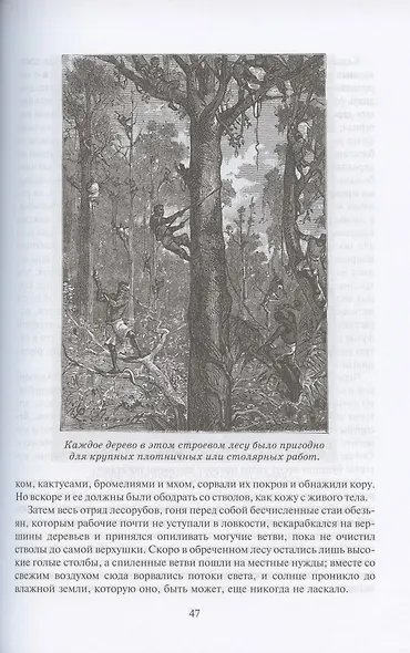 Жангада, или 800 лье по Амазонке - фото 5