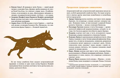 Я получил сову! Фанбук по волшебному миру Гарри Поттера - фото 8