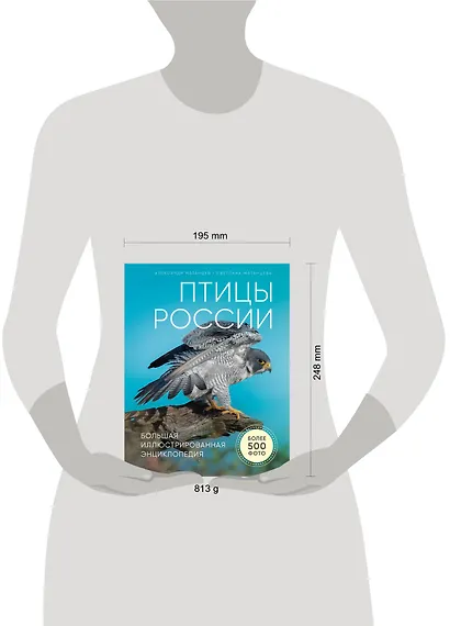 Птицы России. Большая иллюстрированная энциклопедия - фото 5