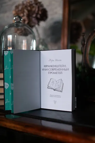 Франкенштейн, или Современный Прометей. Вечные истории - фото 10