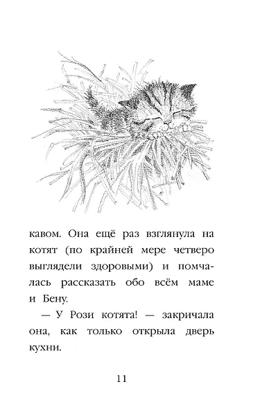 Котёнок Пушинка, или Рождественское чудо: повесть - фото 8