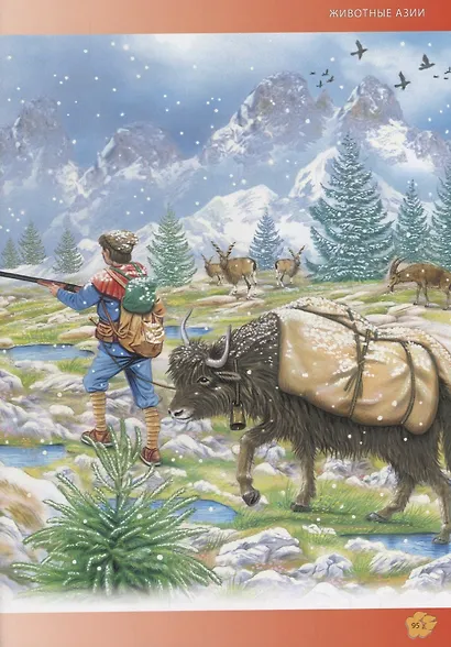 Животные мира.Энциклопедия для детей(МЕЛОВКА) - фото 5