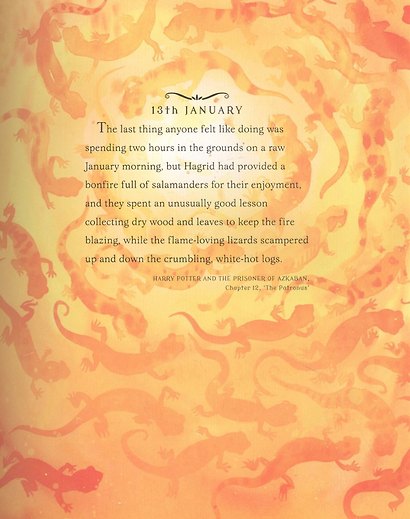 Harry Potter - A Magical Year : The Illustrations of Jim Kay - фото 4
