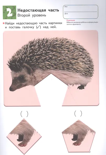 Развитие мышления. Пространственное мышление (от 5 лет) - фото 7