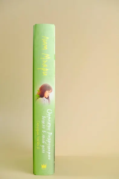 Однажды Разрушение вошло в мой дом. Сценарий. Часть 2 - фото 12