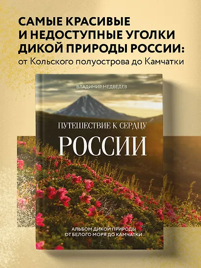 Путешествие к сердцу России. Альбом дикой природы от Белого моря до Камчатки - фото 4