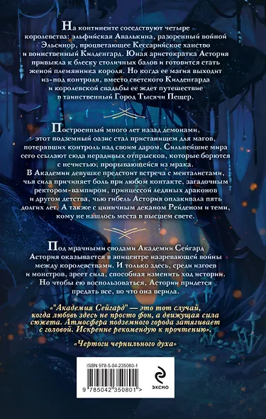 Академия Сейгард. Город тысячи пещер - фото 2
