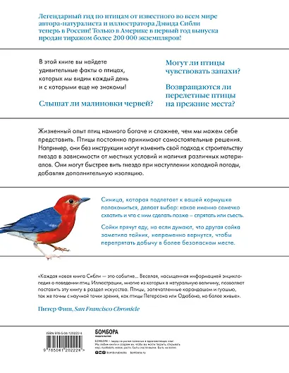 Каково быть птицей: о полетах и гнездовании, кормлении и пении. Как и чем живут самые известные птицы на земле - фото 2